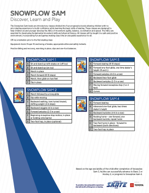 Snowplow Sam Curriculum