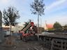 Tree Planting, Exterior Signs, Landscaping, Glass, Ceiling