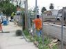 Removing Old Fence