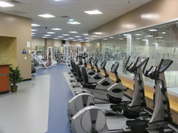 Exercise Bikes