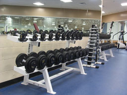 Free Weights