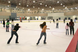 Public Skating