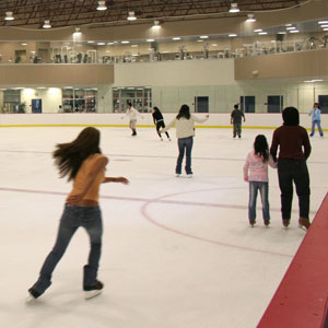 Public Skating
